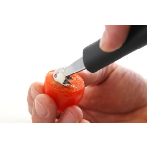 Lyžica na melón s ozubením - Značka HENDI - Fourniresto